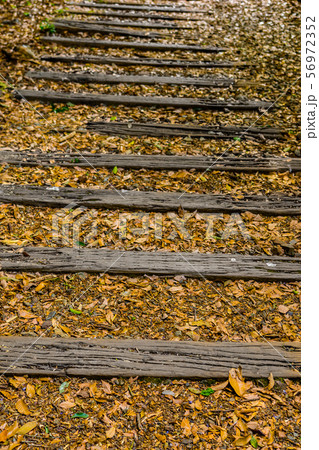 ＪＲ福知山線廃線跡のハイキングコースの風景（兵庫県宝塚市玉瀬）※作品コメント欄に撮影位置 56972352