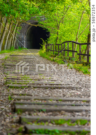 ＪＲ福知山線廃線跡のハイキングコースの風景（兵庫県宝塚市玉瀬）※作品コメント欄に撮影位置 56972354