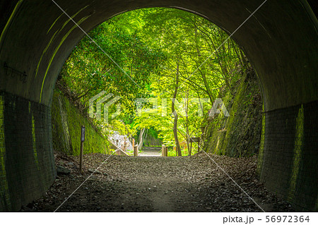 ＪＲ福知山線廃線跡のハイキングコースの風景（兵庫県宝塚市玉瀬）※作品コメント欄に撮影位置 56972364