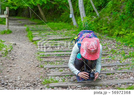 ＪＲ福知山線廃線跡のハイキングコースのカメラ女子（兵庫県宝塚市玉瀬）※作品コメント欄に撮影位置 56972368