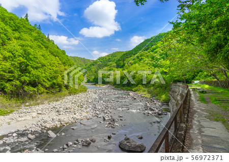 ＪＲ福知山線廃線跡のハイキングコースの風景（兵庫県宝塚市玉瀬）※作品コメント欄に撮影位置 56972371