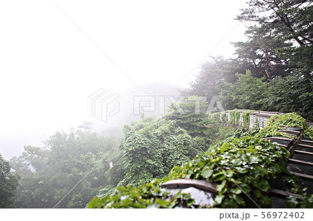 南漢山城 性 酸 56972402