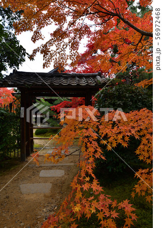 酬恩庵の紅葉 酬恩庵の紅葉 56972468