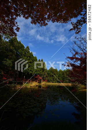 酬恩庵の紅葉 酬恩庵の紅葉 56972482