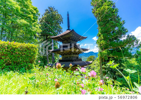 国宝大法寺三重塔　青木村　【長野県】 56972806
