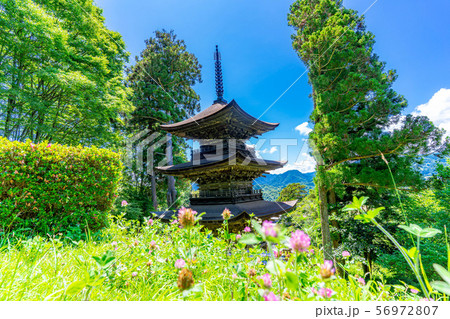 国宝大法寺三重塔 青木村 【長野県】 国宝大法寺三重塔 青木村 【長野県】 56972807