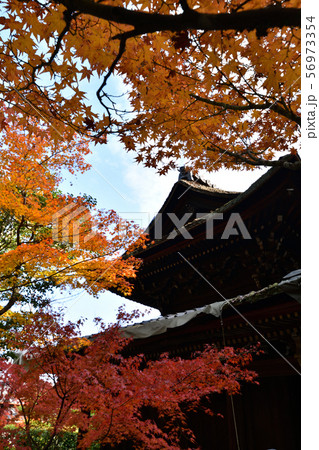 酬恩庵の紅葉 酬恩庵の紅葉 56973354