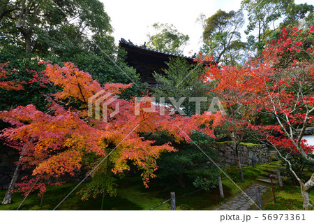 酬恩庵の紅葉 酬恩庵の紅葉 56973361