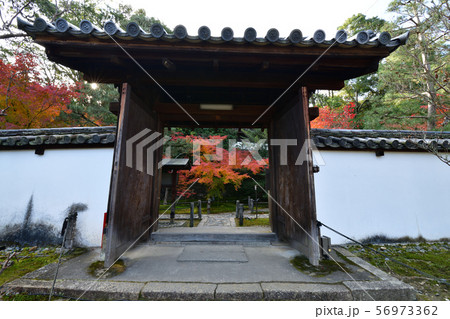 龍安寺の紅葉 龍安寺の紅葉 56973362