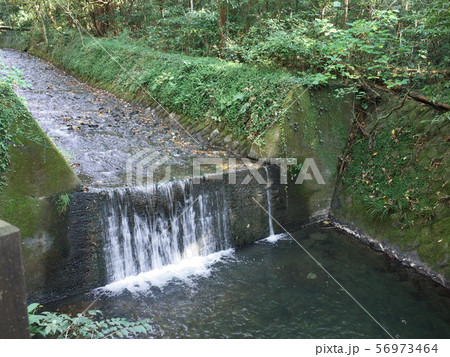 城ケ崎自然研究路 城ケ崎自然研究路 56973464