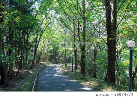 釜石大観音、帰り参道 釜石大観音、帰り参道 56974774
