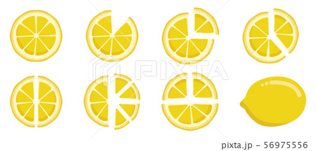 Vitamin C. Set of vector isolated elements. Bright fresh ripe juicy whole and cut lemon and slices 56975556
