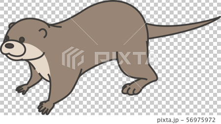 Otter 56975972