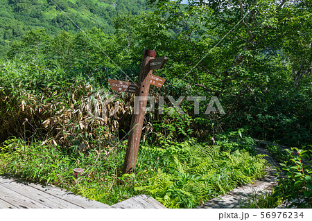 栂池自然園：道標　　　　　　　　　　　北安曇郡小谷村 56976234