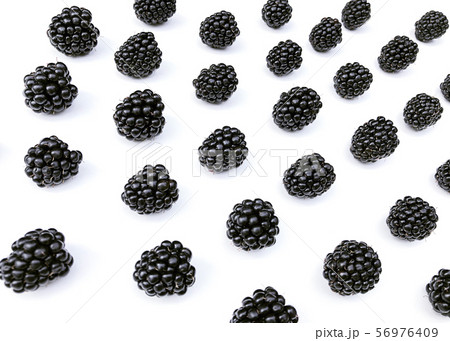 Parade of ripe blackberry. Parade of ripe blackberry. 56976409