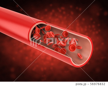 red blood cells in vein red blood cells in vein 56976832