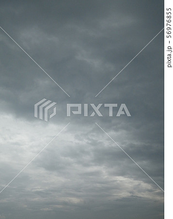空 空 56976855