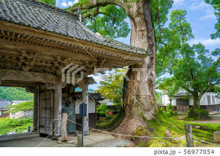 大乗寺 56977054
