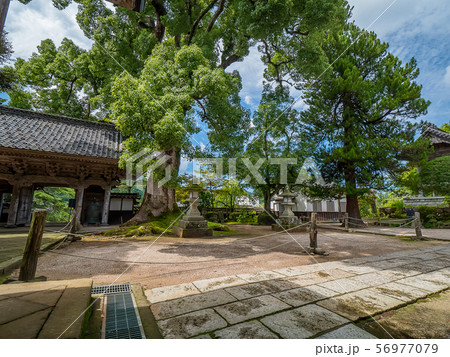 大乗寺 56977079