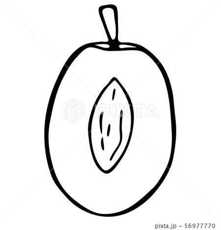Outline fruit plum. Outline fruit plum. 56977770