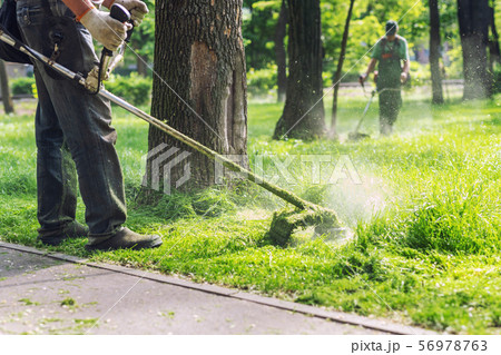 Worker mowing tall grass with electric or petrol 56978763