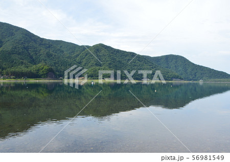 西湖(西湖湖畔キャンプ場/山梨県南都留郡富士河口湖町) 西湖(西湖湖畔キャンプ場/山梨県南都留郡富士河口湖町) 56981549