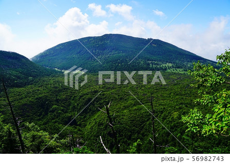北八ヶ岳 北横岳への登山道から見る縞枯山 北八ヶ岳 北横岳への登山道から見る縞枯山 56982743