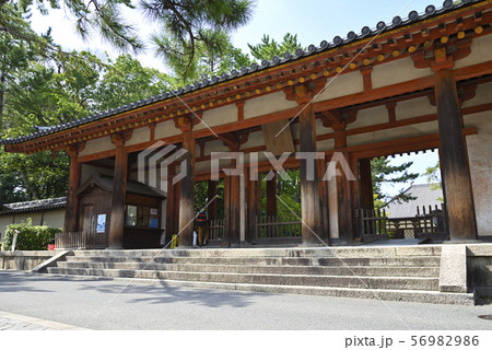 唐招提寺　南大門（奈良県奈良市） 56982986