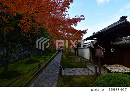 酬恩庵の紅葉 酬恩庵の紅葉 56983467