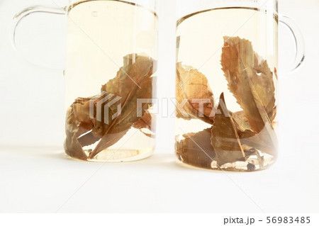 阿波晩茶（あわばんちゃ） 56983485