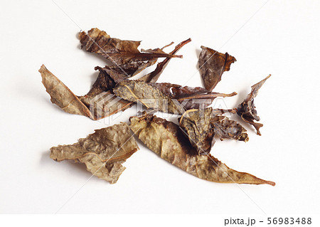 阿波晩茶（あわばんちゃ） 56983488