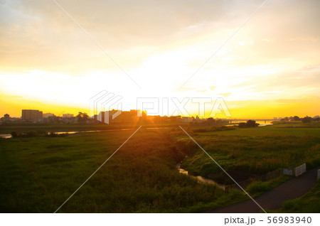 調布市と稲城市に架かる多摩川原橋から望む朝焼け 56983940