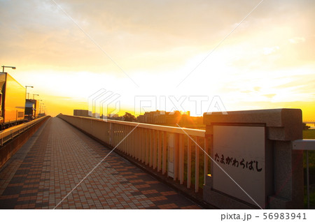 調布市と稲城市に架かる多摩川原橋から望む朝焼け 56983941