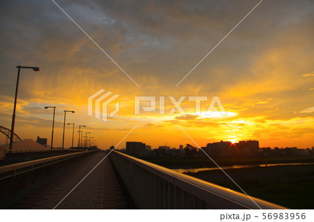 調布市と稲城市に架かる多摩川原橋から望む朝焼け 56983956