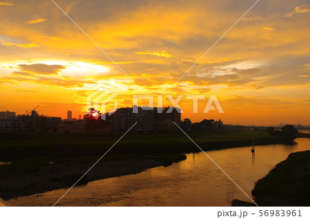 調布市と稲城市に架かる多摩川原橋から望む朝焼け 56983961