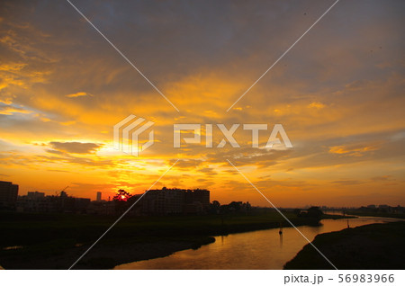 調布市と稲城市に架かる多摩川原橋から望む朝焼け 56983966