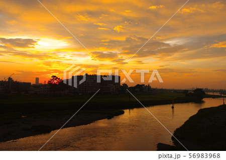 調布市と稲城市に架かる多摩川原橋から望む朝焼け 56983968
