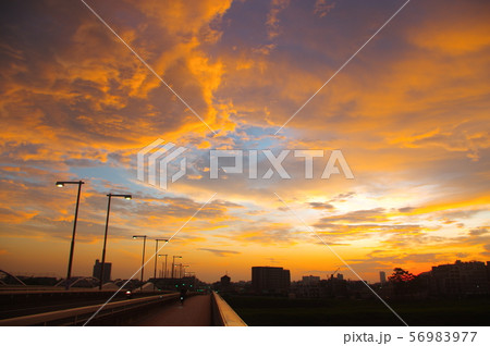 調布市と稲城市に架かる多摩川原橋から望む朝焼け 56983977