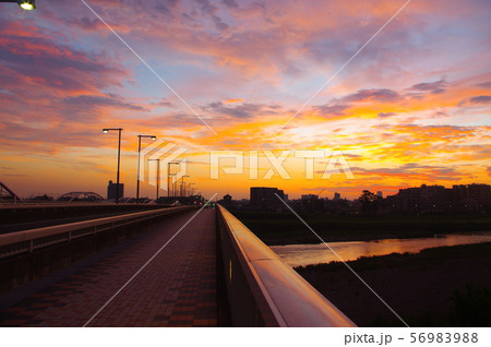 調布市と稲城市に架かる多摩川原橋から望む朝焼け 56983988