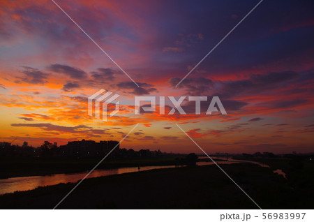 調布市と稲城市に架かる多摩川原橋から望む朝焼け 56983997