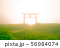 山頂の霧の中に佇む神秘的な鳥居 56984074