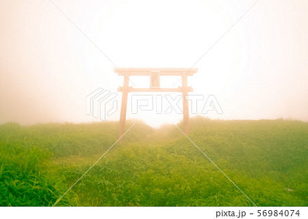 山頂の霧の中に佇む神秘的な鳥居 56984074