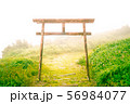 山頂の霧の中に佇む神秘的な鳥居 56984077