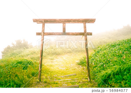山頂の霧の中に佇む神秘的な鳥居 56984077