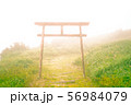 山頂の霧の中に佇む神秘的な鳥居 56984079