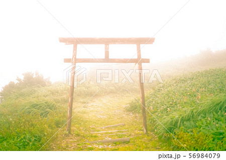 山頂の霧の中に佇む神秘的な鳥居 56984079