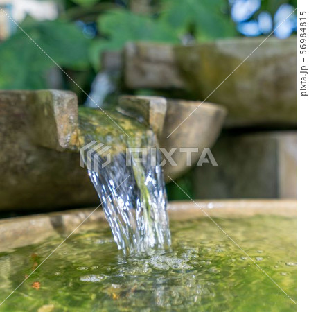 Tropical garden. Stone bowl with water flowing 56984815