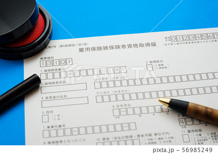 雇用保険被保険者資格取得届　失業　給付　再就職 56985249
