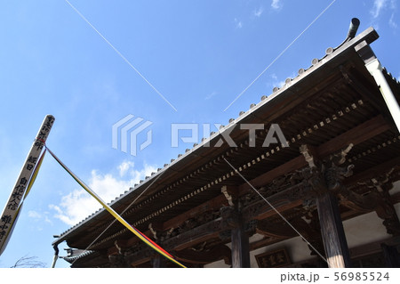 遊行寺　藤沢市 56985524