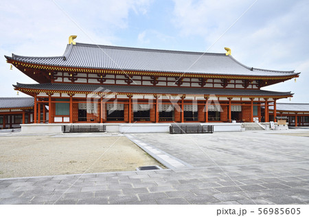薬師寺 大講堂(奈良県奈良市) 薬師寺 大講堂(奈良県奈良市) 56985605
